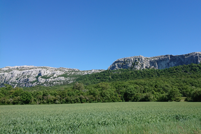 week-end-kd-st-baume-mars-2024-les-iris